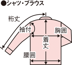 ブラウス　採寸の見方